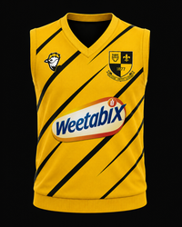 Short Sleeve T20 Playing Jumper – Carmel CC